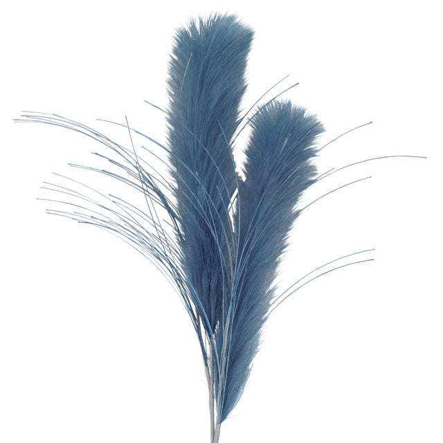 Pampas’s Grass Steam
