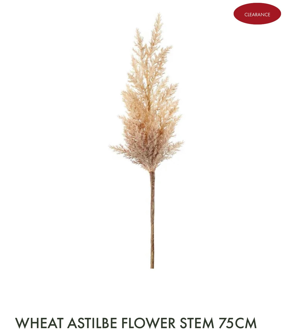 Wheat Astilbe Flower Steam
