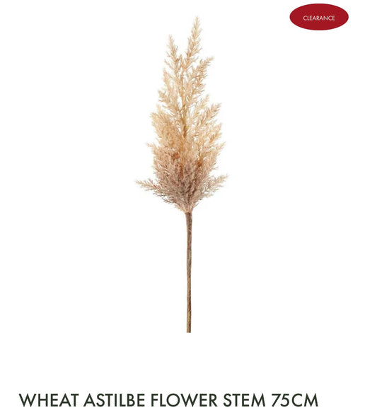 Wheat Astilbe Flower Steam