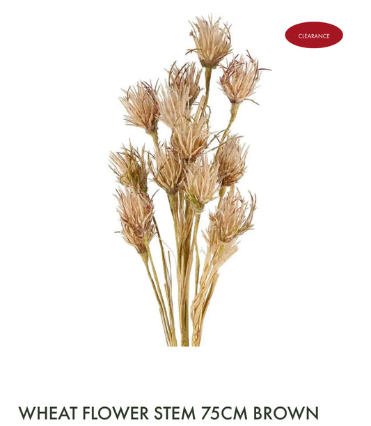 Peach Wheat Flower Steam