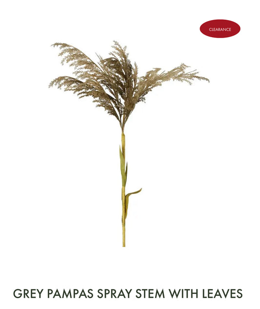 Grey/Brown Pampas Steam